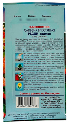 Сальвия блестящая РЕДДИ салмон АКВАРЕЛЬ описание