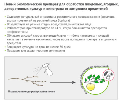 Профилактин БИО 500мл (для ранневесенней обраб. от насек.) Август