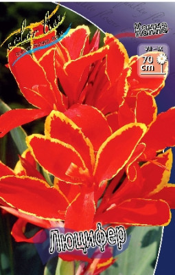 Канна Люцифер (зелен.) 1шт 2467