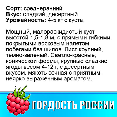 Малина Гордость России