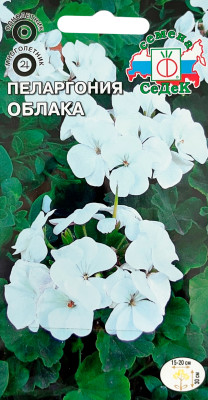 Пеларгония садовая Облака СеДеК