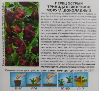 Перец Тринидад Моруга Скорпион шоколадный (острый) (Евро, 5)