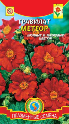 Гравилат Метеор