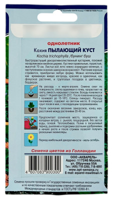 Кохия ПЫЛАЮЩИЙ КУСТ АКВАРЕЛЬ описание