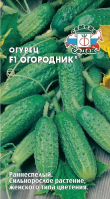 огурец Огородник F1