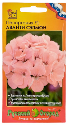 Пеларгония АВАНТИ СЭЛМОН Русский Огород