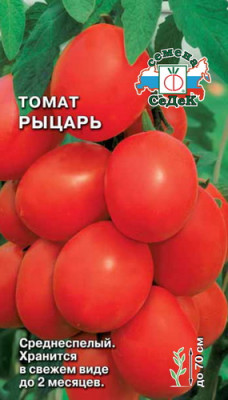 томат Рыцарь