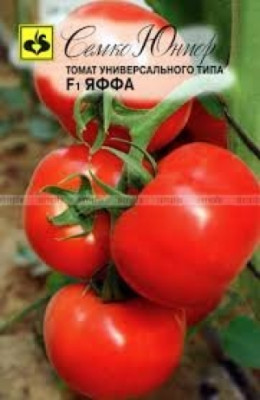 Томат Яффа F1 Томат Яффа F1