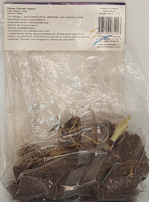 Лилия Элегант Краун (1шт) ОА гибрид