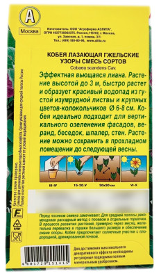 Кобея лазающая гжельские УЗОРЫ смесь сортов АЭЛИТА описание