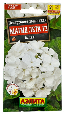Пеларгония зональная МАГИЯ ЛЕТА F2 БЕЛАЯ АЭЛИТА