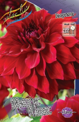 Георгин Мингус Алекс 1шт