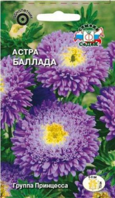 Астра Баллада принцесса (нежно-фиолетовая с белым центром)