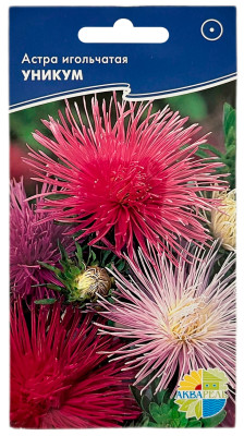 Астра игольчатая УНИКУМ АКВАРЕЛЬ