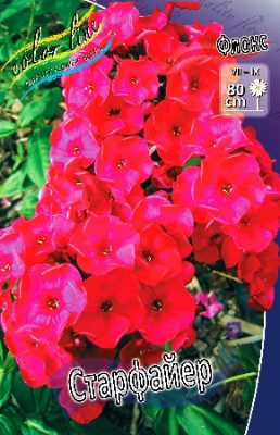 Флокс Старфайер (1шт) 3245