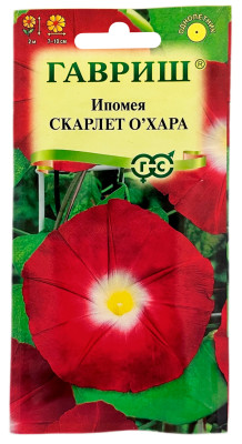 Ипомея пурпурная, фарбитис СКАРЛЕТ О'ХАРА