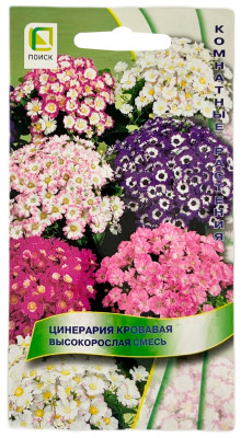 Ценерария кровавая высокорослая смесь ПОИСК