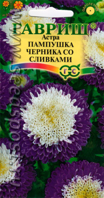 Астра Пампушка черника со сливками 0,3г (помпонная)