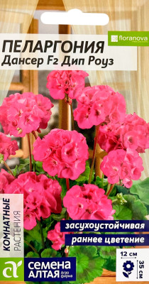 Пеларгония Дансер F2 зональная Дип Роуз 4шт
