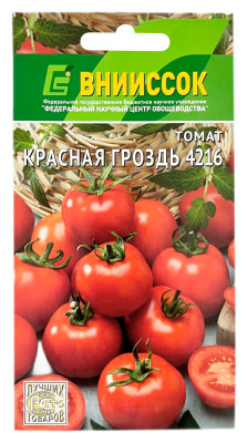 Томат КРАСНАЯ ГРОЗДЬ 4216 ВНИИССОК