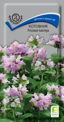 Котовник Розовая пантера 10шт