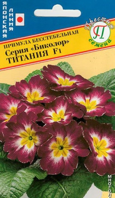Примула Биколор Титания 5 шт Япония