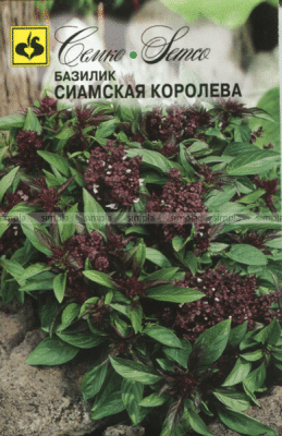 Базилик Сиамская королева