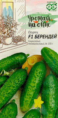 Огурец БЕРЕНДЕЙ F1 Урожай на окне