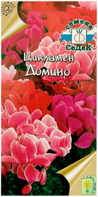 Цикламен персидский Домино, смесь СеДеК