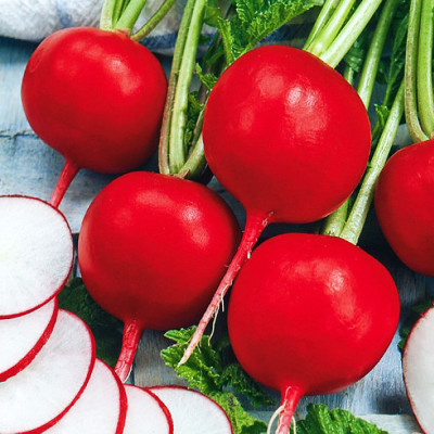 Редис Чемпион 3г Внииссок