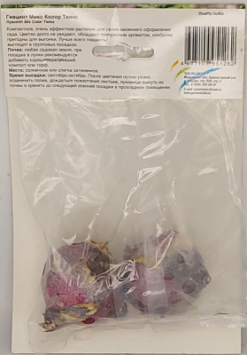 Гиацинт Колор Твинс Микс (2)