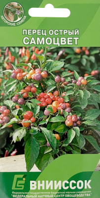 Перец острый Самоцвет ВНИИССОК