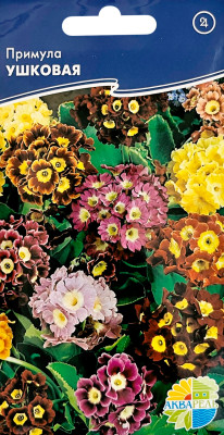 Примула Ушковая (аурикула)