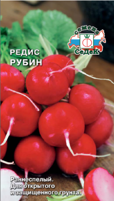 Редис Рубин