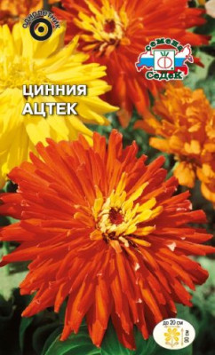 Цинния Ацтек (изящная, Супер Кактус)