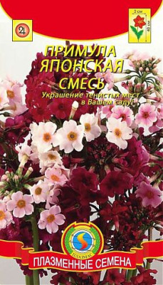 Примула Японская смесь* 20 шт.