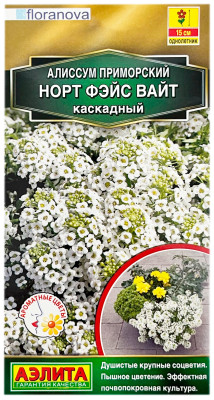 Алиссум приморский НОРТ ФЭЙС ВАЙТ КАСКАДНЫЙ АЭЛИТА