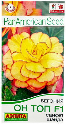 Бегония ОН ТОП F1 САНСЕТ ШЭЙДЗ АЭЛИТА