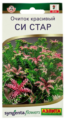 Очиток красивый СИ СТАР АЭЛИТА