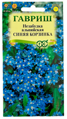 Незабудка альпийская СИНЯЯ КОРЗИНКА ГАВРИШ