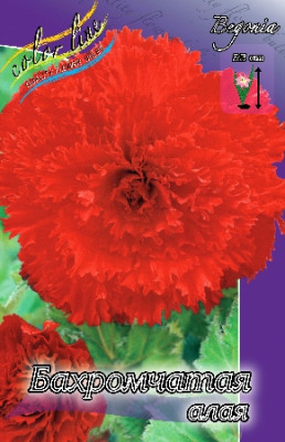 Бегония Бахромчатая Красная (1шт) 2726