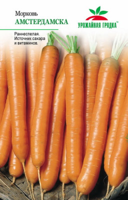 Морковь Амстердамская УГ