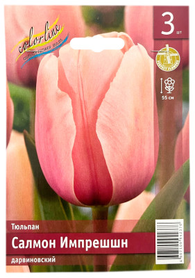 Тюльпан САЛМОН ИМПРЕШШН дарвиновский