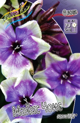 Флокс Майкс Чоис (2шт)
