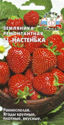 Земляника Настенка F1 ремонтантная крупноплодная (клубника) (Евро 15)