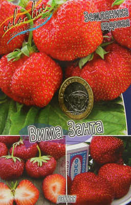 Земляника (Клубника) Вима Занта (5 шт)
