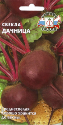 свекла Дачница