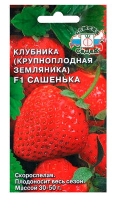 Земляника Сашенька F1 ремонтантная крупноплодная (клубника) (Евро 15)
