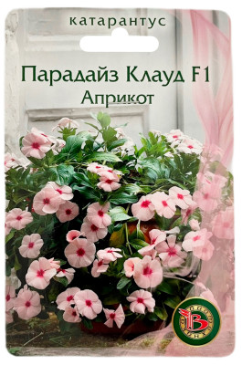 Катарантус ПАРАДАЙЗ КЛАУД F1 АПРИКОТ БИОТЕХНИКА