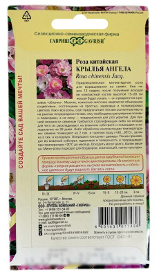 Роза китайская КРЫЛЬЯ АНГЕЛА ГАВРИШ описание